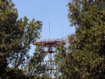 Ci inerpichiamo per la ripida strada provinciale sino a intravedere sulla destra l�ingresso al Bosco delle Pianelle e a sinistra tra le fronde degli alberi un�antenna radar ridipinta di rosso